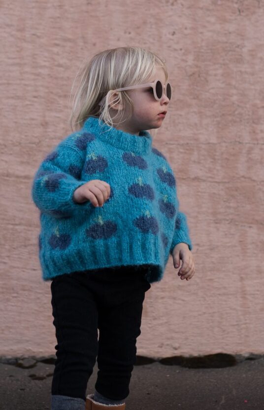 Fruity sweater blueberries kids