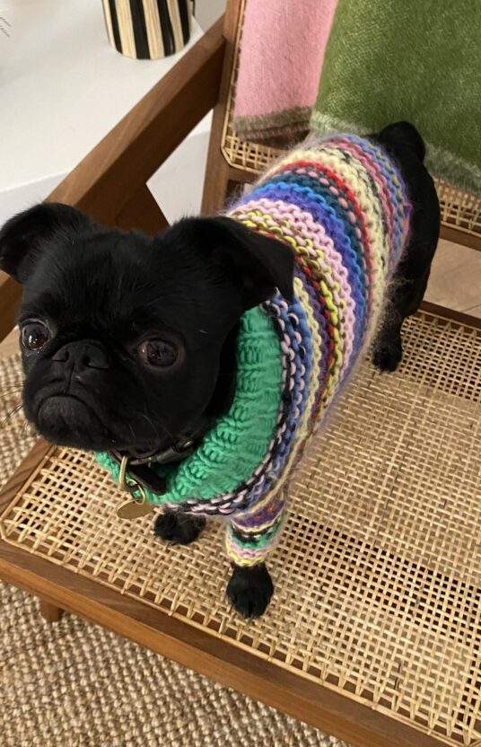 genser til hund oppskrift