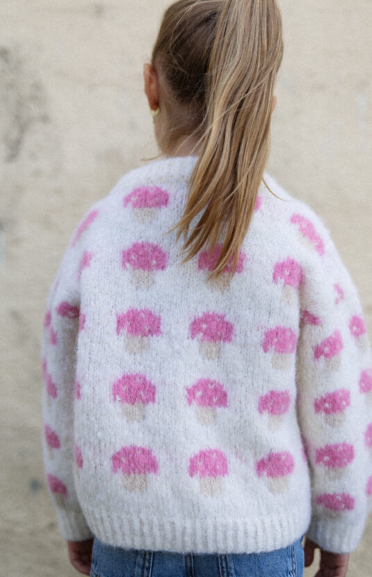 strikkeoppskrift genser med sopp. Genser jente og gutt med sopp. Enkel strikkeoppskrift barn børstet alpakka. Knitted sweater with mushroom pattern and yarn. kids mushroom sweater knitting pattern